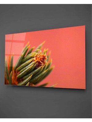 Marsilyan Pembe Çiçek Modern Dekoratif Cam Duvar Tablosu | Duvar Sanatı | Seri Cnlcwy