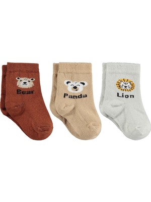 Civil Baby Panda 3'lü 6- Bebek Erkek Çorap Set