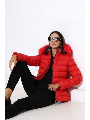Tals Moda Kadın Silim Fit Çıkarılabilir Kapişonlu Mont