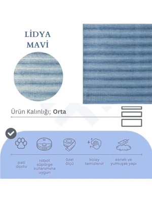 Nevmahall Makinede Yıkanabilir Kaymaz Taban Antialerjik Çizgi Geçişli Kilim Serisi Lidya