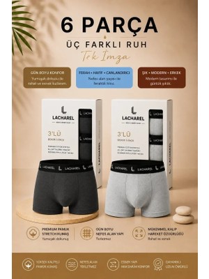 Beruflic Erkek Likralı Pamuklu Nefes Alan Penye 6 Adet Boxer - Füme - Gri