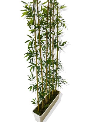 Bambu Seperatör 175 cm 6 Adet Bambu 72 cm Beyaz Saksı