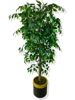 Benjamin 160 cm Yapay Ağaç 30X25 Gold Kemerli Saksı