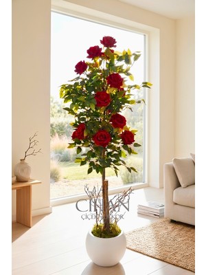 Cihan Çiçekçilik Yapay 10 Güllü Kırmızı Gül Ağacı 150 cm 27X33 Beyaz Küre Saksılı
