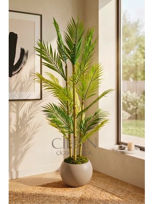 Cihan Çiçekçilik Yapay 3 Bambulu Çikas Palmiye Ağacı 150 cm 27*33 Küre Saksılı