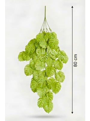 Cihan Çiçekçilik Yapay Sarkan Deve Tabanı (Monstera) Bitkisi 80 cm - Pudralı Sarmaşık