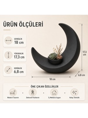 Ay Figürlü Dekoratif Saksı Siyah – Modern Masaüstü Bitki ve Çiçek Saksısı 18 cm