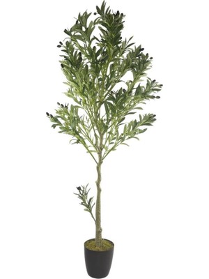 Nettenevime Yapay Zeytin Ağacı Lüks 170CM Doğal Gövdeli Gerçek Görünümlü Yapay Ağaç 1391