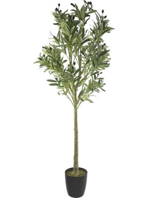 Nettenevime Yapay Zeytin Ağacı Lüks 160CM Doğal Gövdeli Gerçek Görünümlü Yapay Ağaç 2215