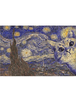 Happy Trend Monnhein Tasarımlı Dekoratif Kapı Önü Paspas, Dış Mekan/ev Içi/banyo/mutfak/yatak Odası/giriş Paspasları (Sonsuz Gece Cat, 45X70)