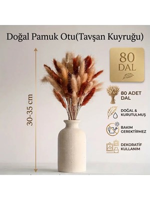 Dekora Çiçek Kurutulmuş Pamuk Otu Tavşan Kuyruğu Gelin Buketi Aranjman Çiçeği Lagurus Kahverengi ve Doğal 80 Dal