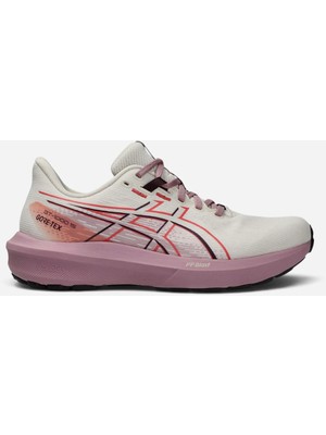 Asics GT-1000 15 Gtx Kadın Black/silver Koşu Ayakkabısı 1012B996-700