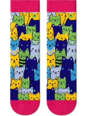 Carnaval Socks Carnaval Renkli Kediler Unisex Soket Çorap