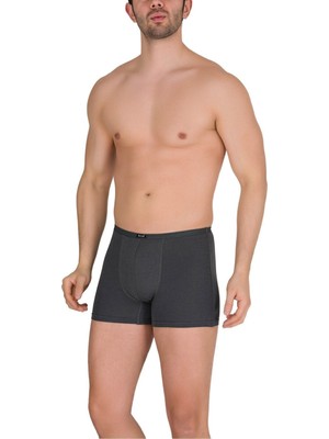 Berrak Modal Erkek Boxer 4'lü-Füme-L