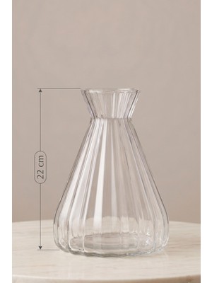 Barış Bazalt Doğaltaş Modern Çizgili Cam Vazo 22 cm – Şeffaf Dekoratif Çiçeklik, Minimal Tasarım Masa & Salon Vazosu