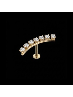 Rupen Kraft 316 L Su Yolu Yay Zirkon Altın Tragus Helix Piercing