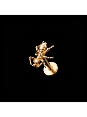 Rupen Kraft 316 L Karınca Çelik Kıkırdak Piercing Tragus Altın Karınca Piercing