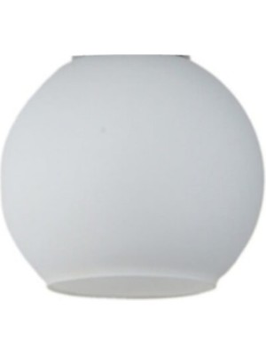 Opal Cam