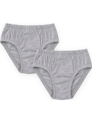Cigit Ikili Slip Külot 2-11 Yaş Gri