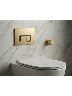 VitrA Gold Kumanda Paneli ve Stop Valf