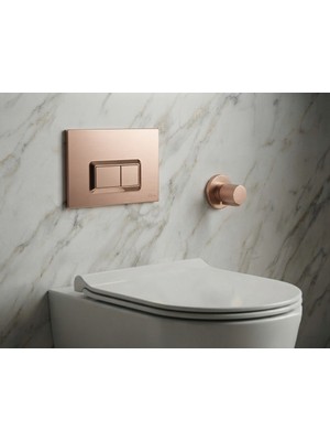 VitrA Rose Gold Kumanda Paneli ve Stop Valf