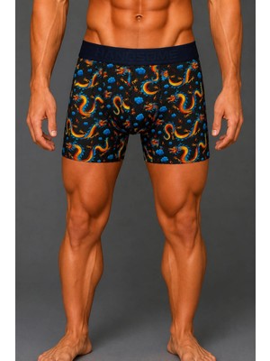 Brem Handsome Ejderha Desenli Erkek Boxer