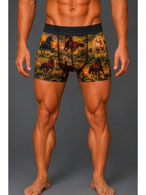 Brem Handsome At Desenli Erkek Boxer