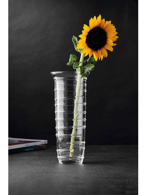 Paşabahçe Cam Vazo 32 cm