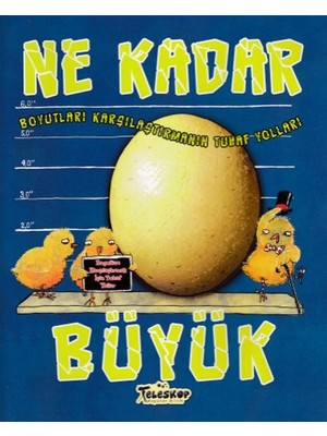 Belirtilmemiş Boyutları Karşılaştırmanın Tuhaf Yolları - Ne Kadar Büyük