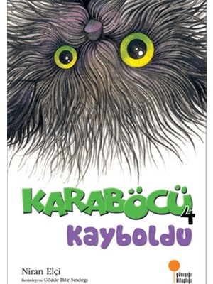 Belirtilmemiş Karaböcü Kayboldu