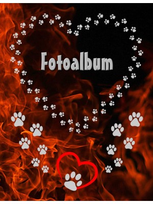 Sh Ticaret Independently Published Fotoalbum Haustiere Meerschweinchen Kaninchen Hamster Zucht Buch Hunde Katz