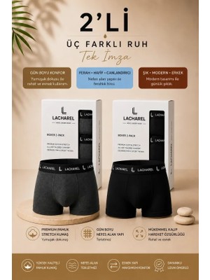 Beruflic Erkek Likralı Pamuklu Nefes Alan Penye Boxer 2li Paket - Füme - Siyah
