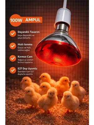 100W Isıtıcı Ampul Kırmızı Isı Lambası Civciv Kümes Kuluçka E27 Duy Isıtma Ampulü
