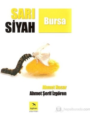 Adalı Store Bursa'nın Sarı Siyah Renkleri, Kültürel Bir Anlatım