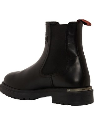 Adalı Store Harley Davidson Falco Erkek
