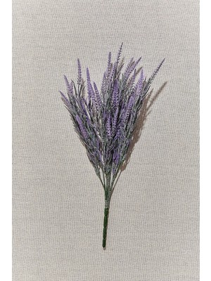 Astera Lavanta 38 cm Mor Yapma Çiçek