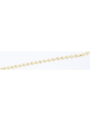Suda İthalat Vip Bileklik 14 - K (17+2 cm)