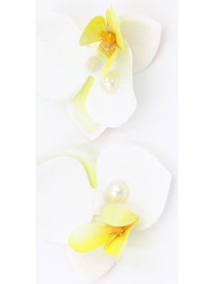 Suda İthalat Çelik Küpe  ( 6cm )