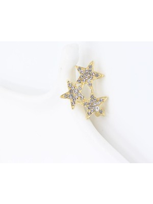 Suda İthalat Broş (2,5 Cm)