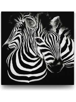 TeknoKapsül Siyah Beyaz Zebra Tablosu - 60X60CM