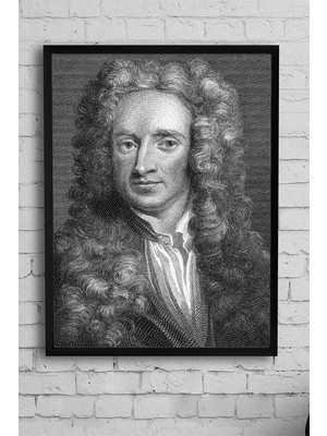 TeknoKapsül Postermanya (PSTER12814) Newton Bilimsel Çerçeveli Tablo (50X70CM)
