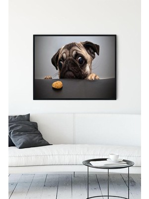 TeknoKapsül Postermanya (PSTER11780) Köpekcik Eğlenceli Mizahi Çerçeveli Tablo (50X70CM)