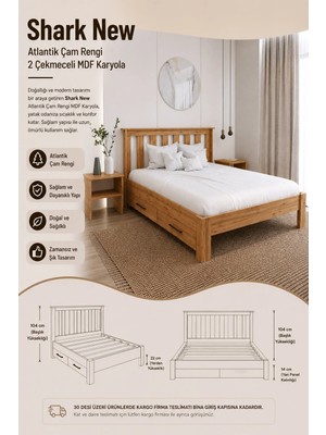 Renazzo Mobilya Shark New   2 Çekmeceli Tek Kişilik Mdf Karyola