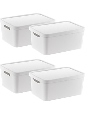 Ayrex Smartware 4'lü Set Stafi Çok Amaçlı Kapaklı Kutu Beyaz 4,5 Lt