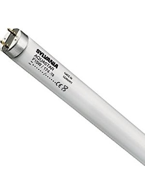 Ayrex Sylvanıa T8 Floresan Lamba, G13 Duy, 18 Watt / 900 Lümen, Aquastar (10000K), 10000 Saat Kulla