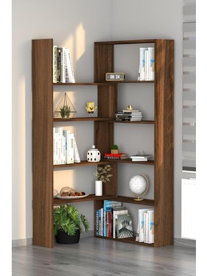 Ayrex Moonlife Office Dekoratif Kitaplık Ceviz