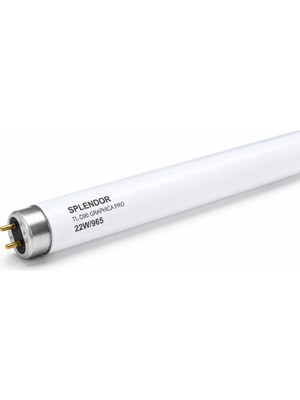 Splendor TL-D90 Graphica 22W/965 Floresan 150 cm