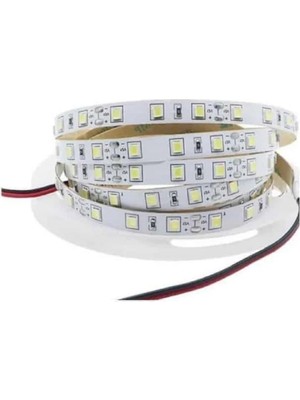 St. Morritz Rgb Şerıt LED Üççıp 60 LED Iç Ortam 5 Mt. CT-4545