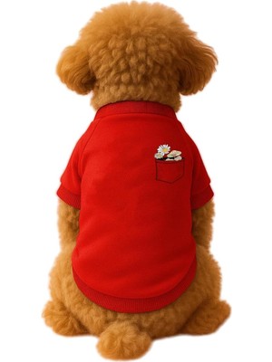 Özkaya Store Kedi ve Köpek Kıyafeti &amp; Elbisesi Kırmızı Sweatshirt Papatya Cep Xl