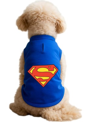 Özkaya Store Kedi ve Köpek Kıyafeti &amp; Elbisesi Saks Mavi Superman Atlet Xl